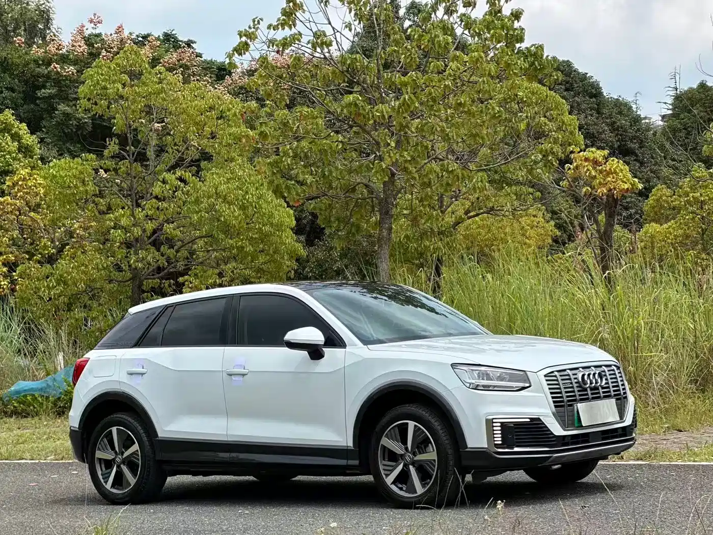 Audi Q2L e-tron 2020 2019 Q2L e-tron Pure Electric Smart Cool Edition