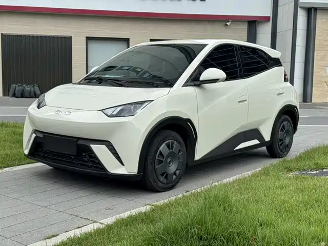 BYD Seagull 305km, Энергия