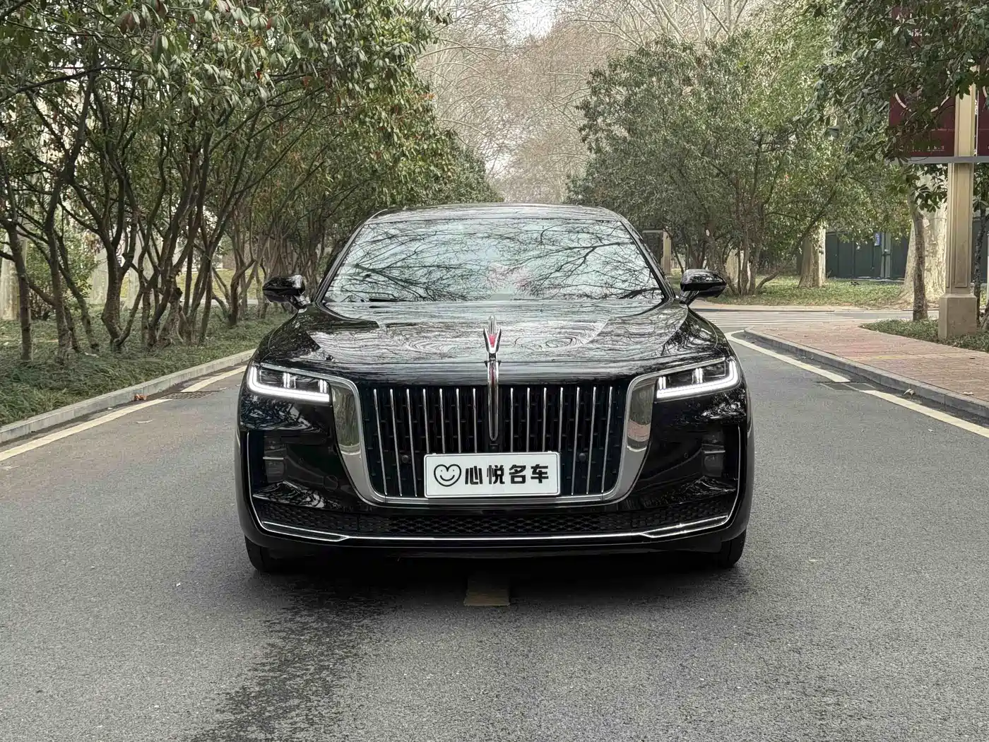  HONGQI H9