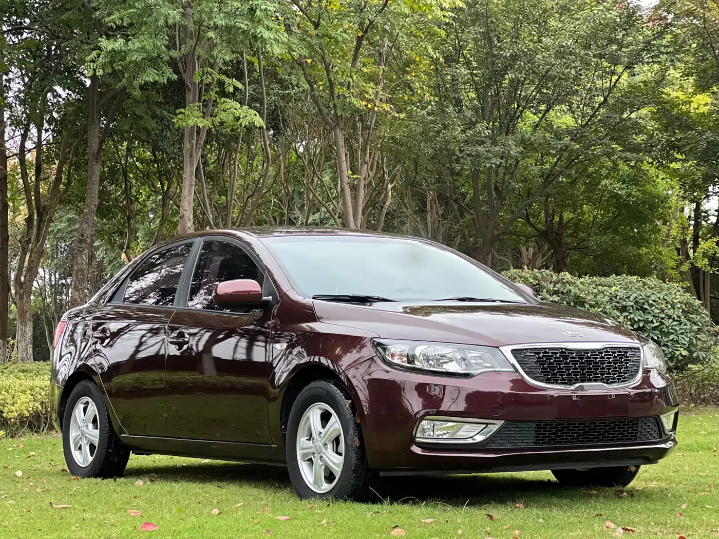 Kia Forte 2014 2014 1.6L MT GL