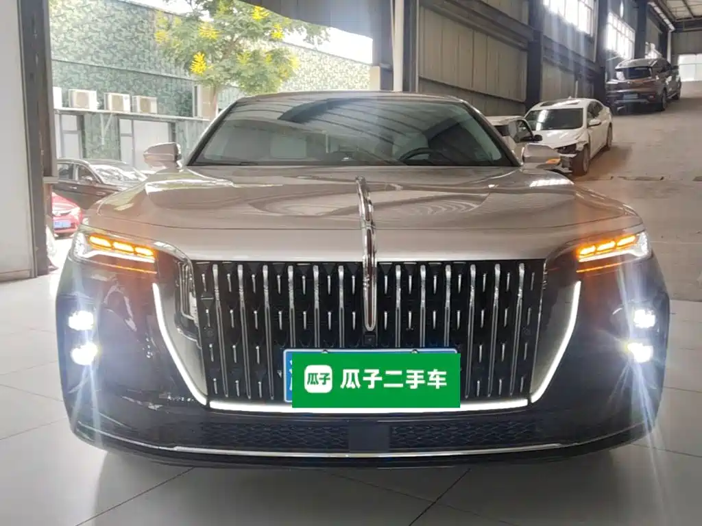 Photo 3 - Hongqi H9