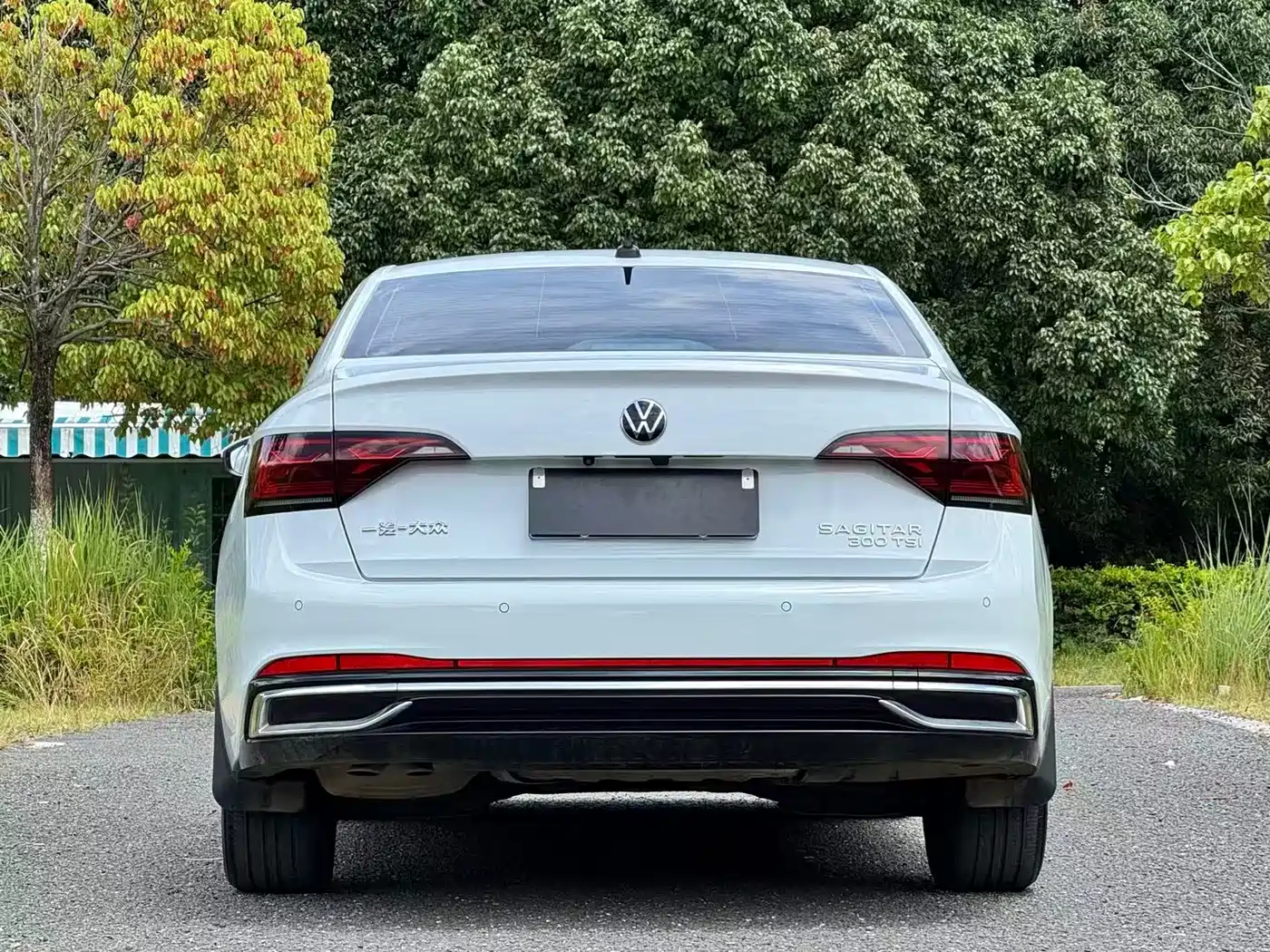Volkswagen Sagitar, миниатюра 5