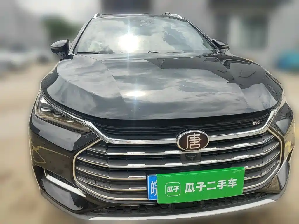 BYD Tang 2019 2018 2.0T Automatic Smart Connection Honor Edition 7-Seater China V
