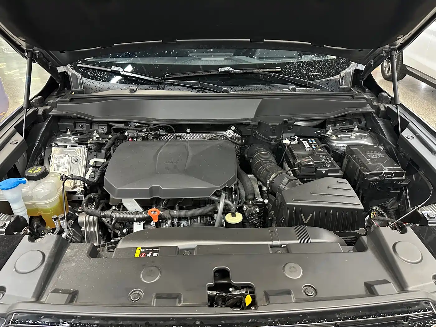 Haval Big Dog 2025 2026 2.0T Standard