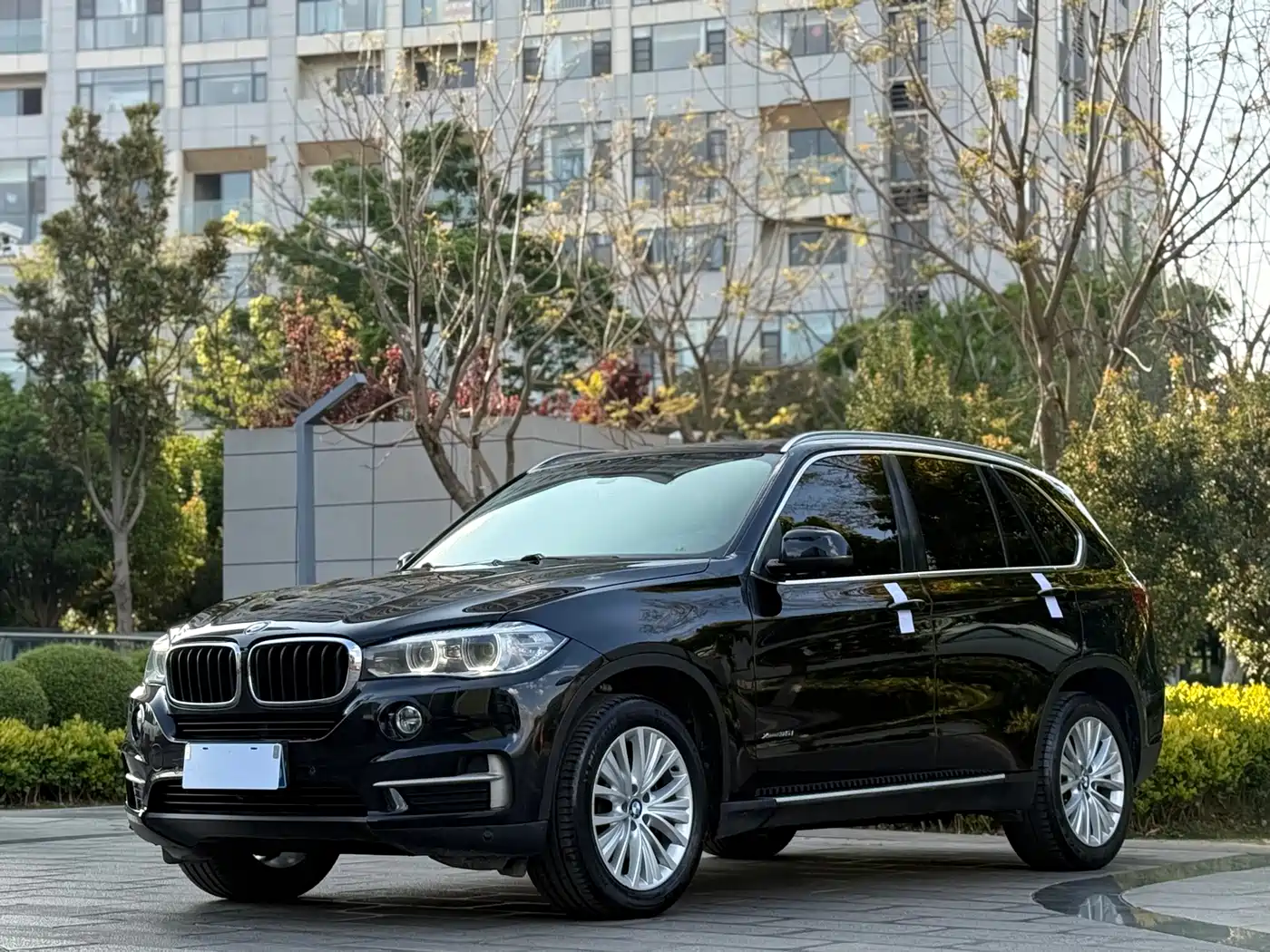 BMW X5 (Import) 2014 xDrive35i Leading
