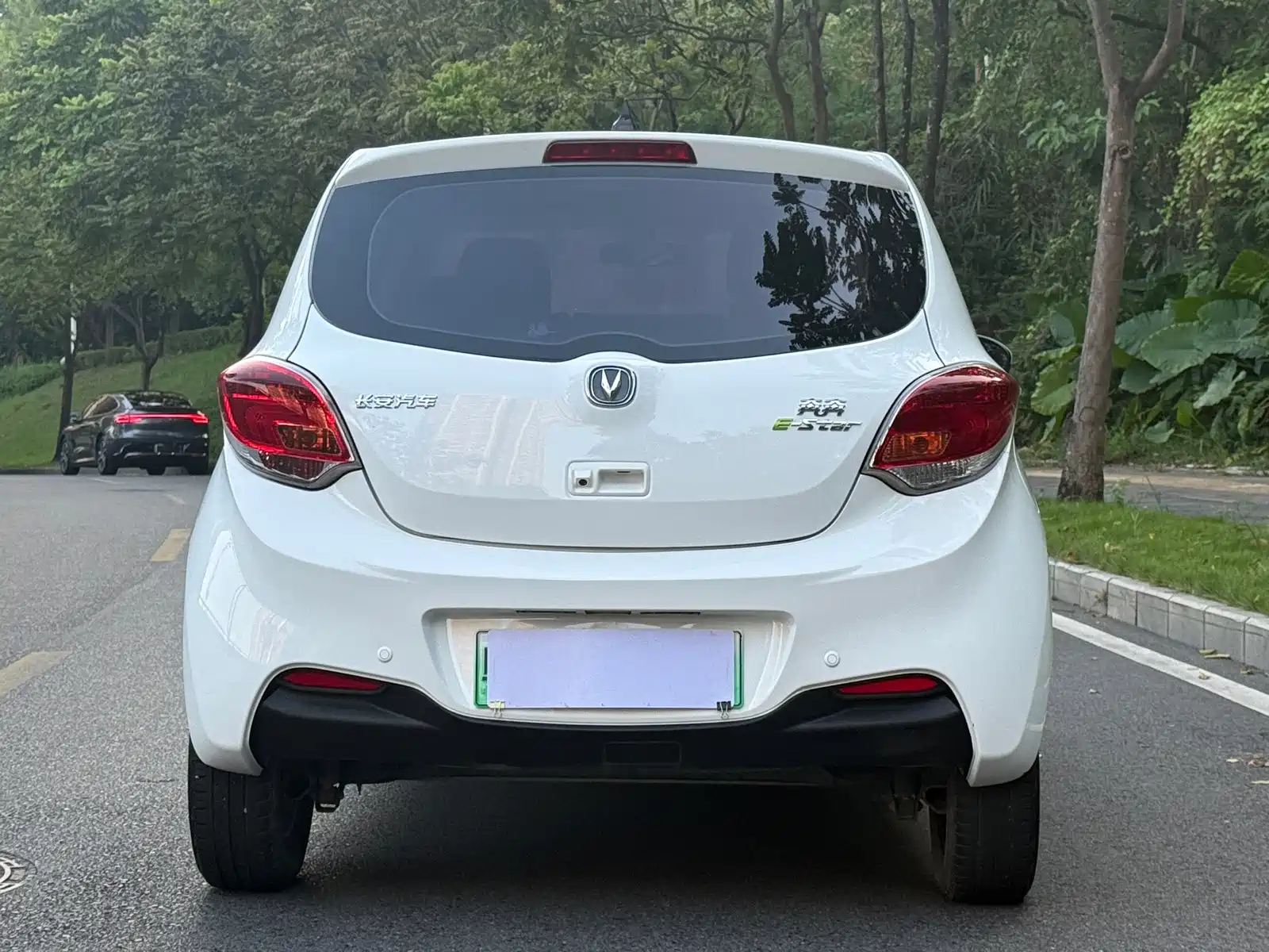 Photo 4 - Changan Benben E-Star