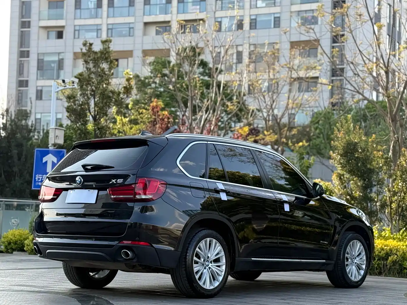 BMW X5 (Import) 2014 xDrive35i Leading фото 7