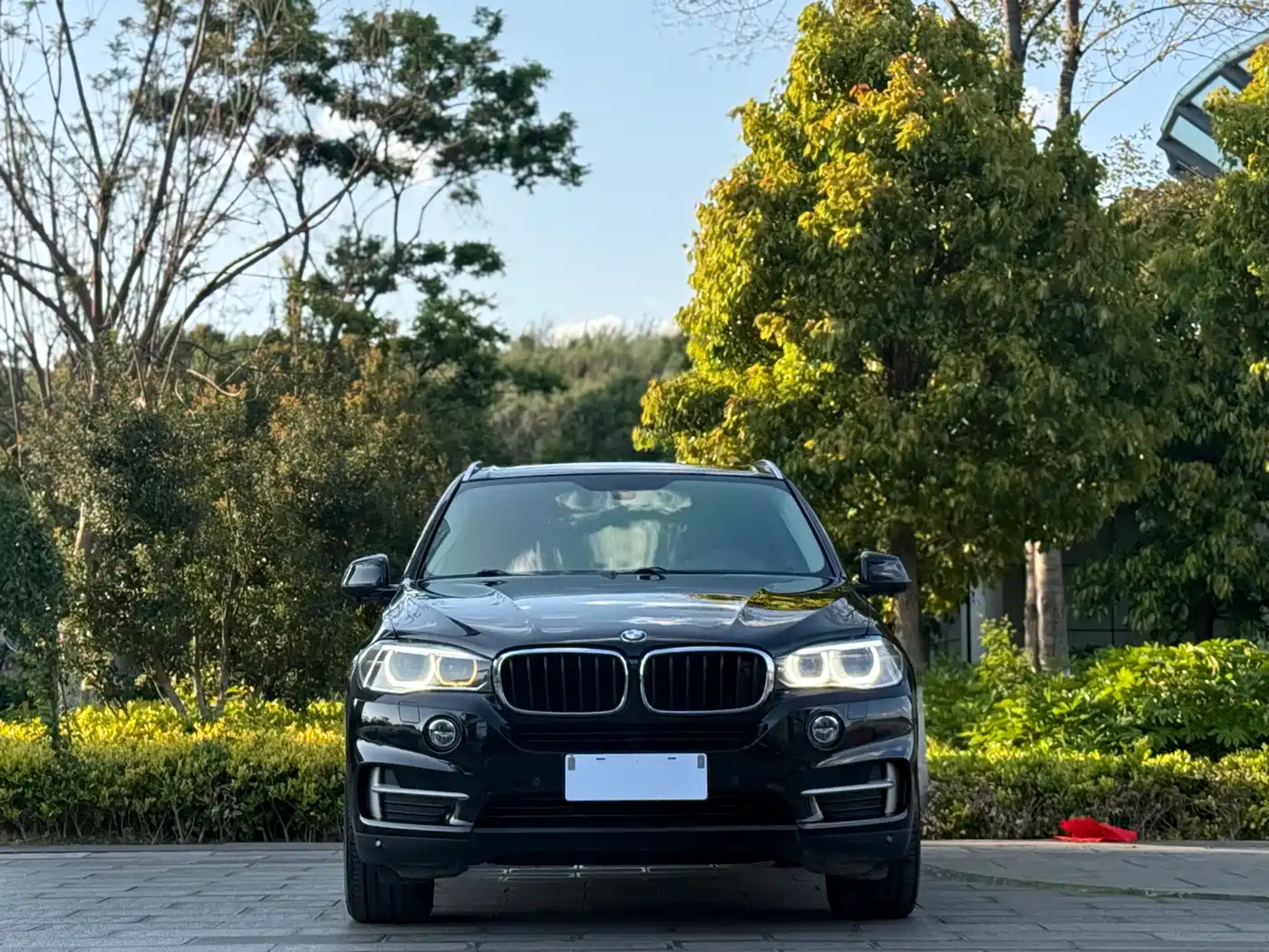 BMW X5 (Import) 2014 xDrive35i Leading фото 2