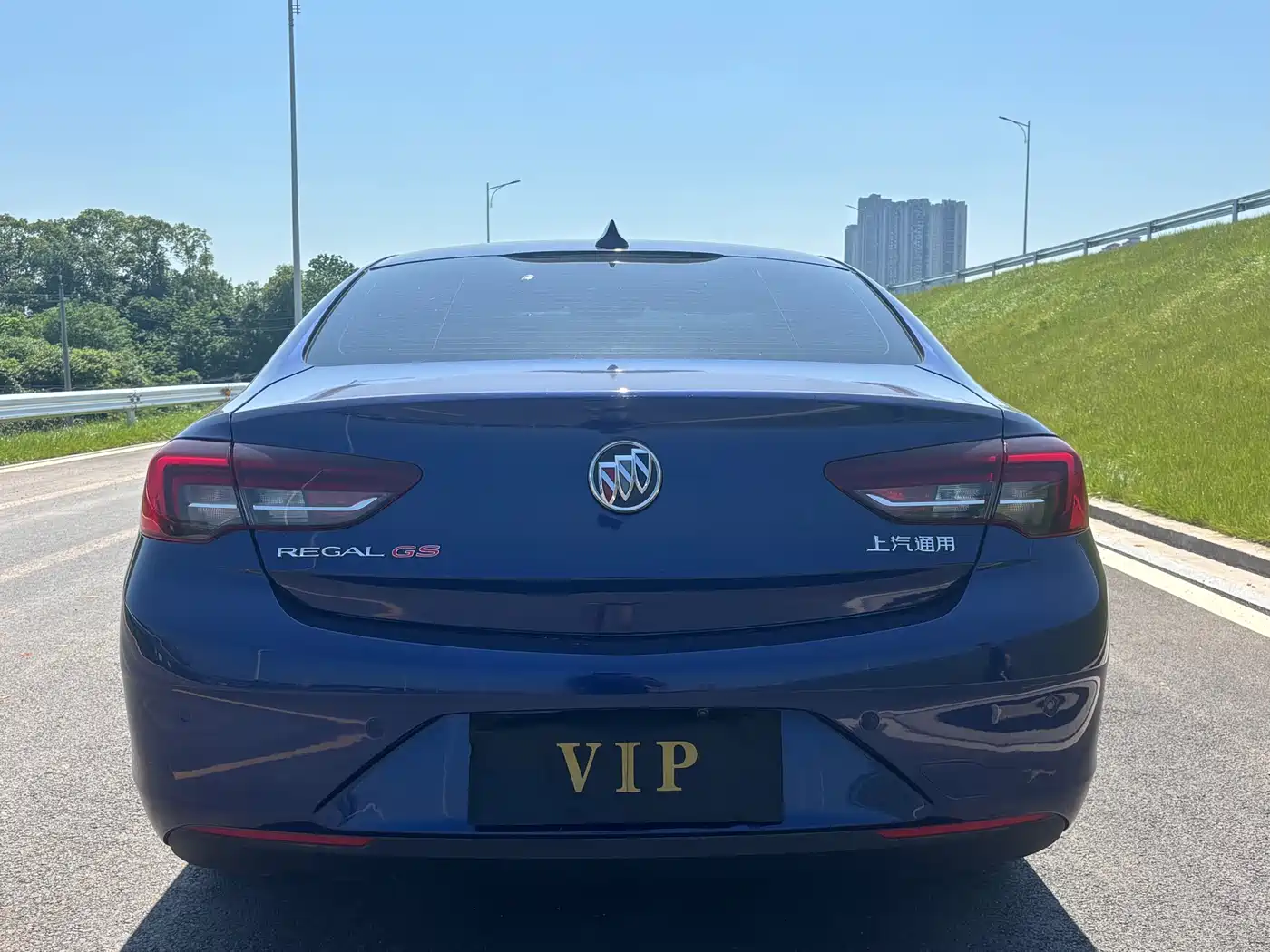 Buick Regal 2017 20T Elite Type фото 6