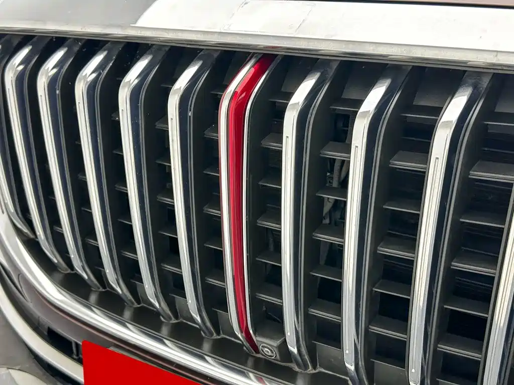 Фото 9 - Hongqi HS7