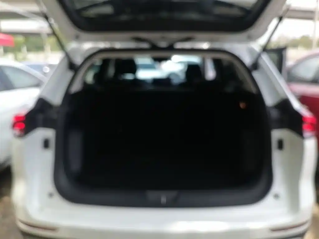 Haval H6 2023 National Trend Edition 1.5T Automatic Champion фото 19