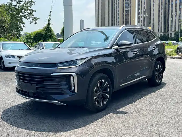  Exeed Exeed Lingyun 2021 290T 2WD Star Glory Edition
