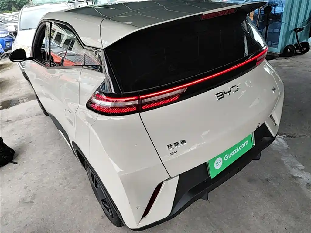 BYD Seagull 2024 Glory Edition 305km Vitality Edition фото 5