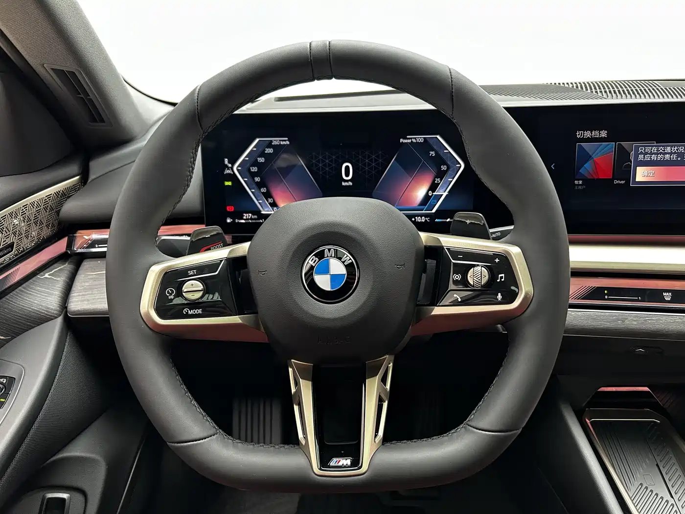 BMW 5 Series 2025 530Li Premium M Sport Package фото 14
