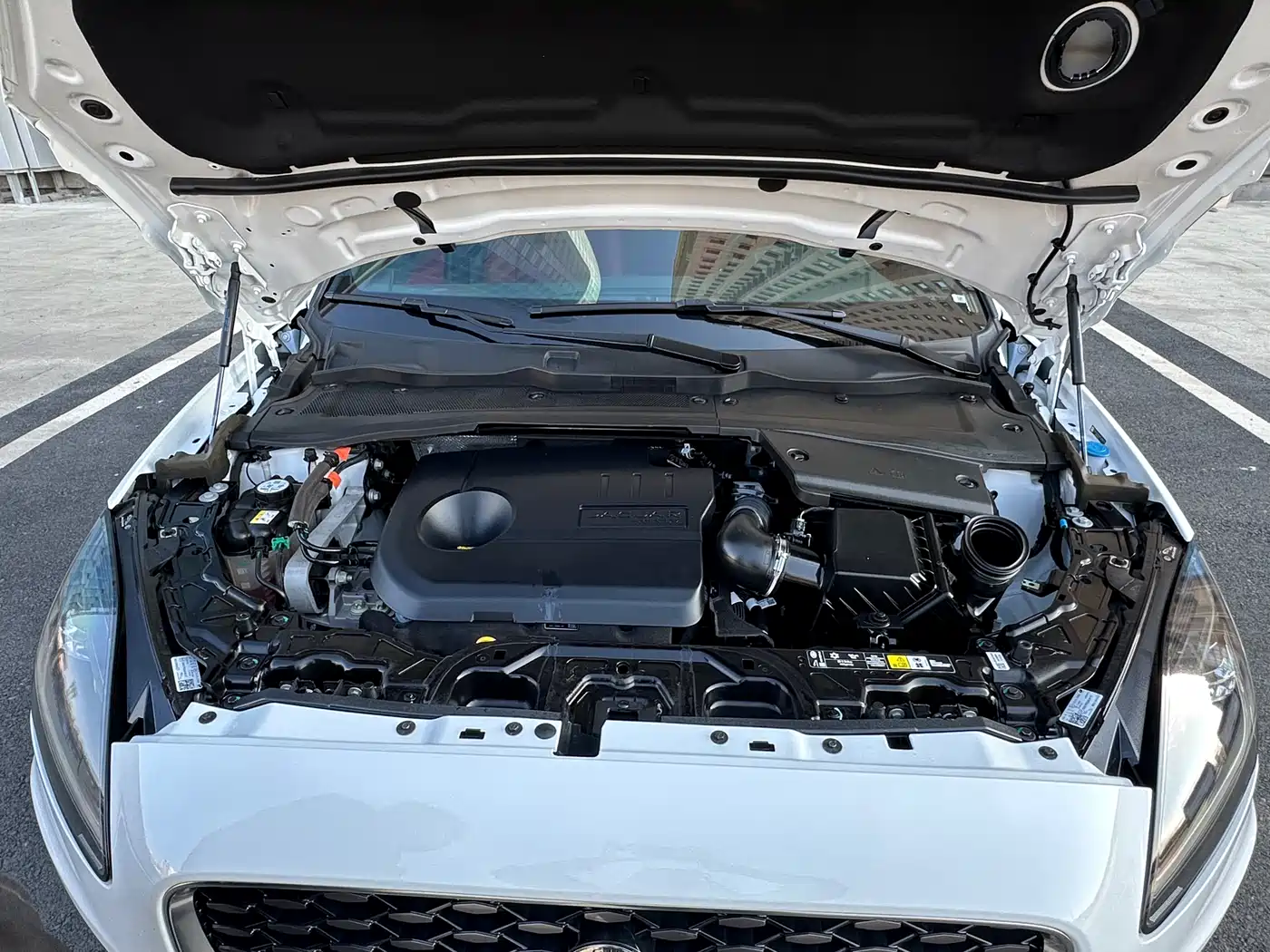 Jaguar E-PACE 2025 2024 Progressive Sport Edition R-DYNAMIC S