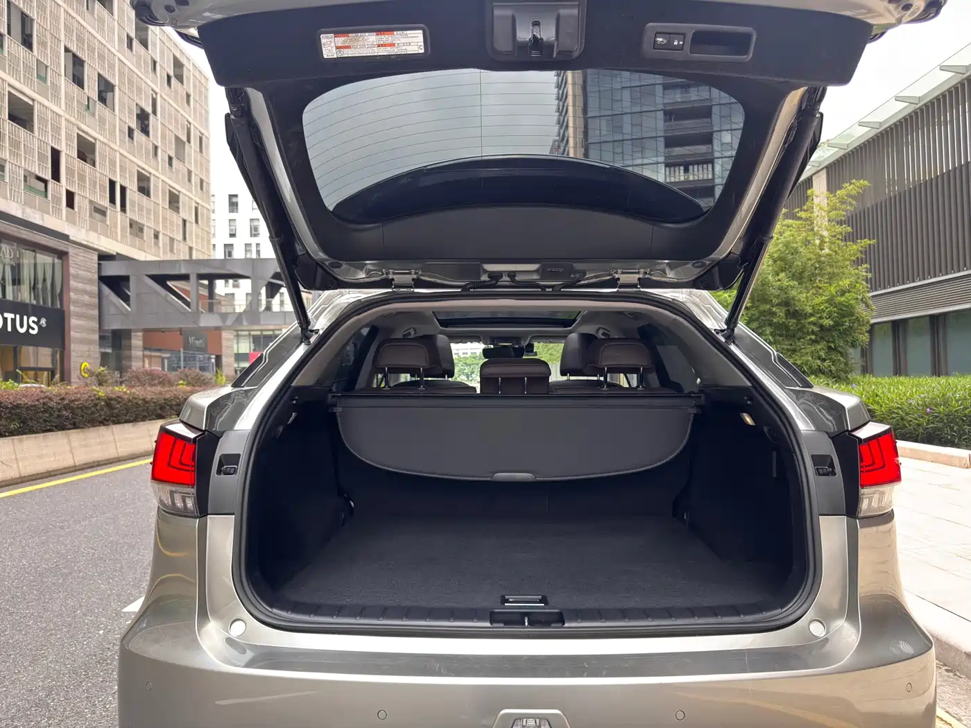 Lexus RX 2020 Facelift 300 AWD Elegance Edition фото 27