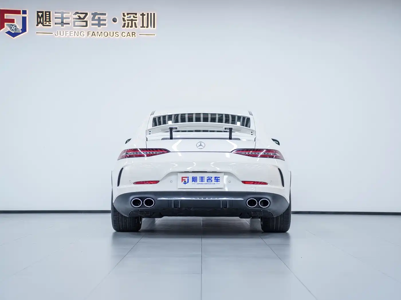 Mercedes-Benz AMG GT 2019 AMG GT 50 4-Door Coupe фото 8
