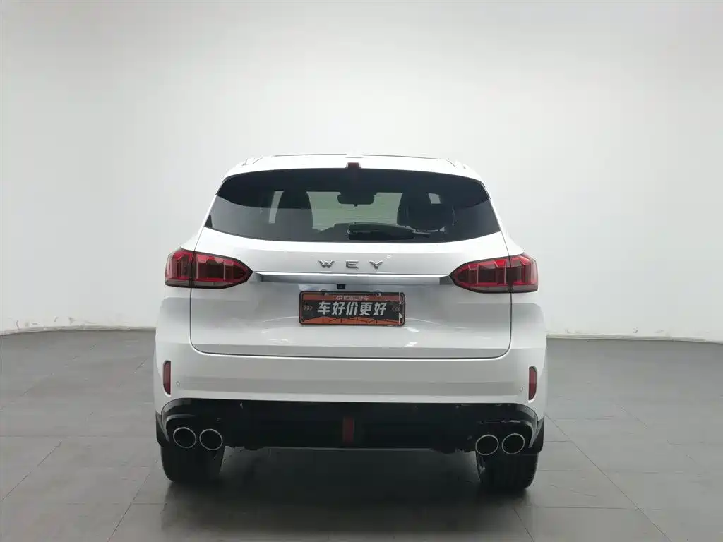 WEI PAI WEI BRAND VV6