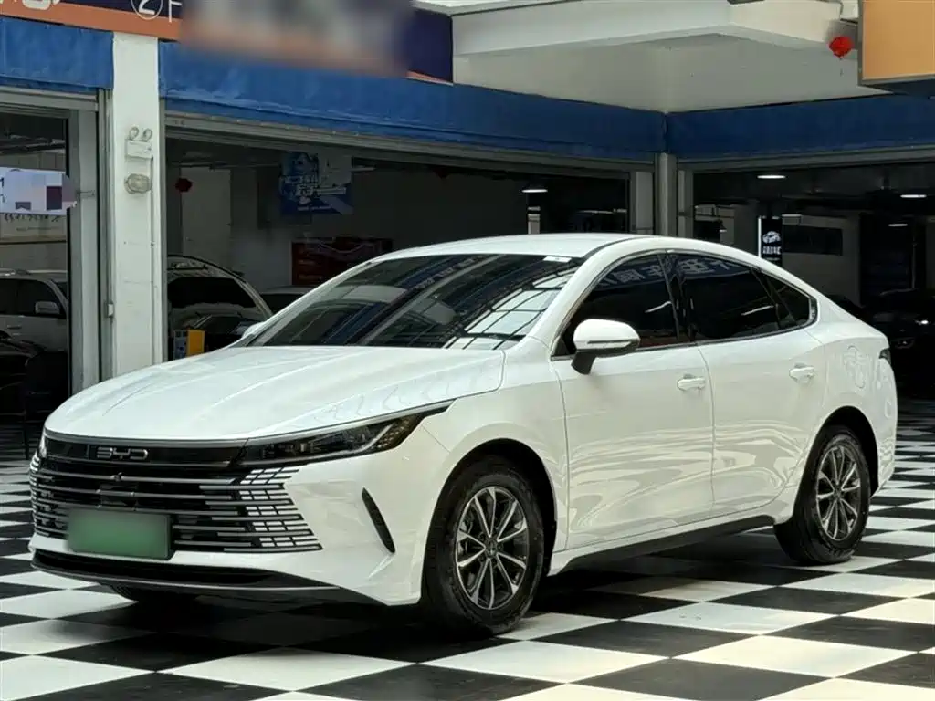 BYD Destroyer 05 2024 Glory Edition DM-i 55KM Luxury