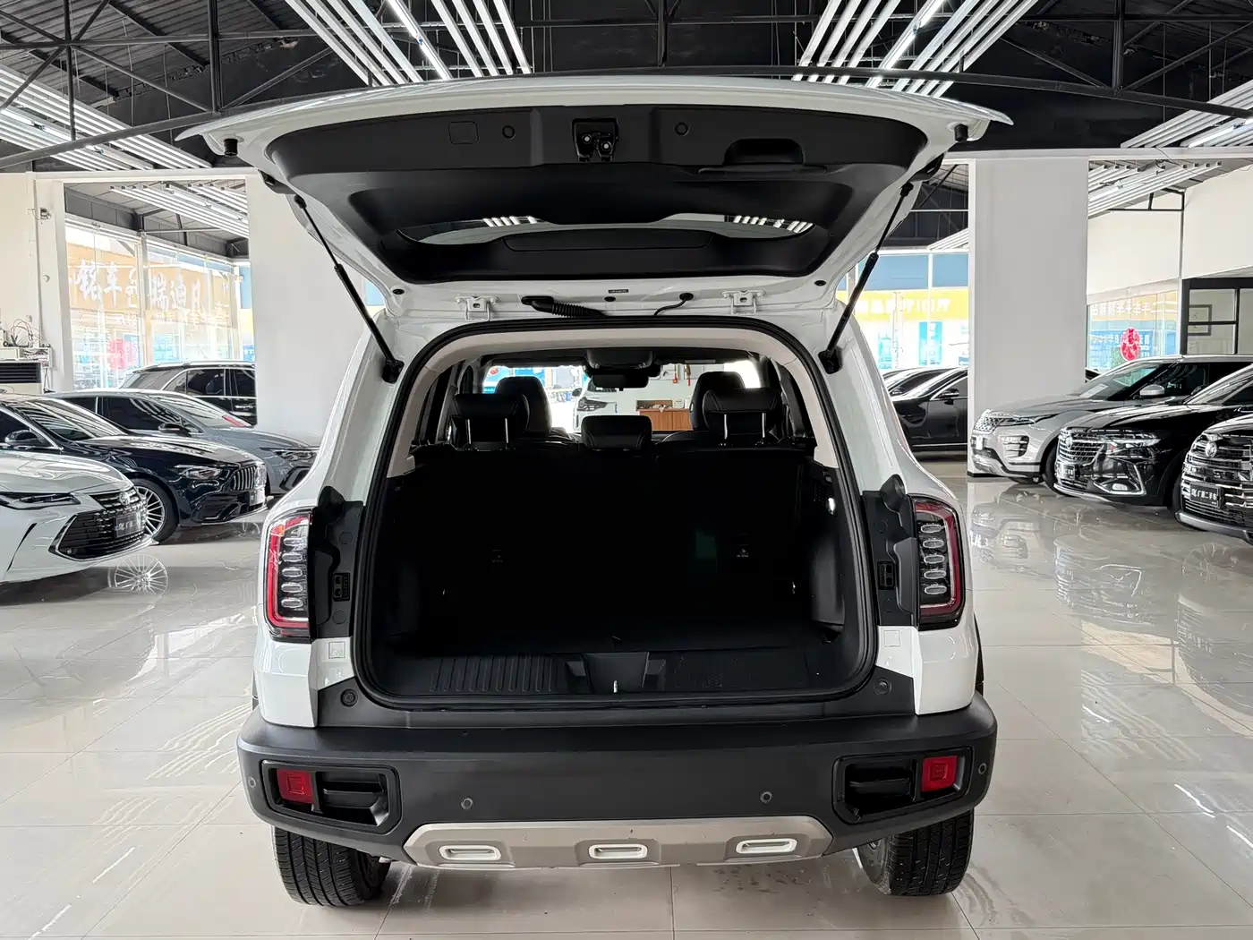 Haval Big Dog 2021 1.5T DCT 2WD Labrador Edition фото 20