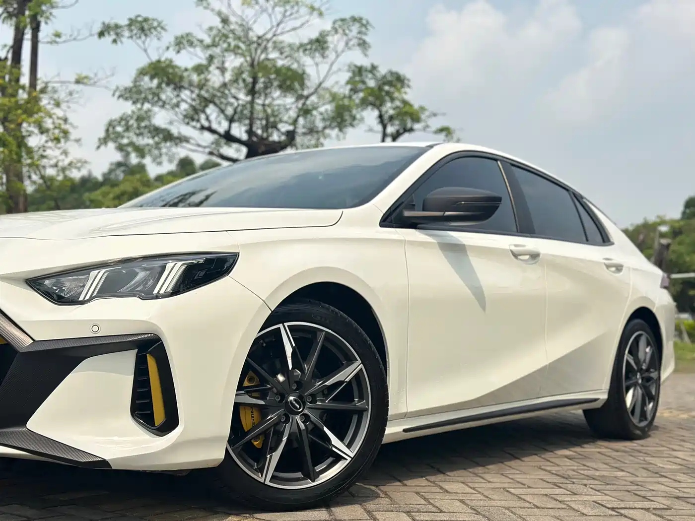 GAC SHADOW LEOPARD