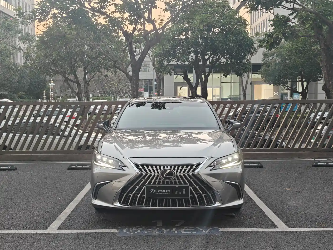 Lexus ES 2022 300h Silver Limited Edition фото 2