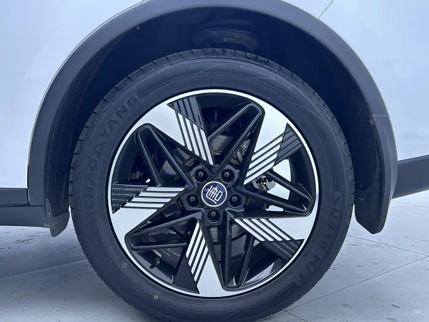 BYD Tang New Energy 2023 Model DM-i Champion Edition 112KM Premium фото 12