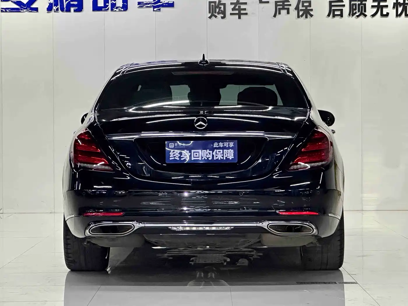 Mercedes-Benz S-Class 2020 S 350 L Premium Edition Collector's Version фото 12