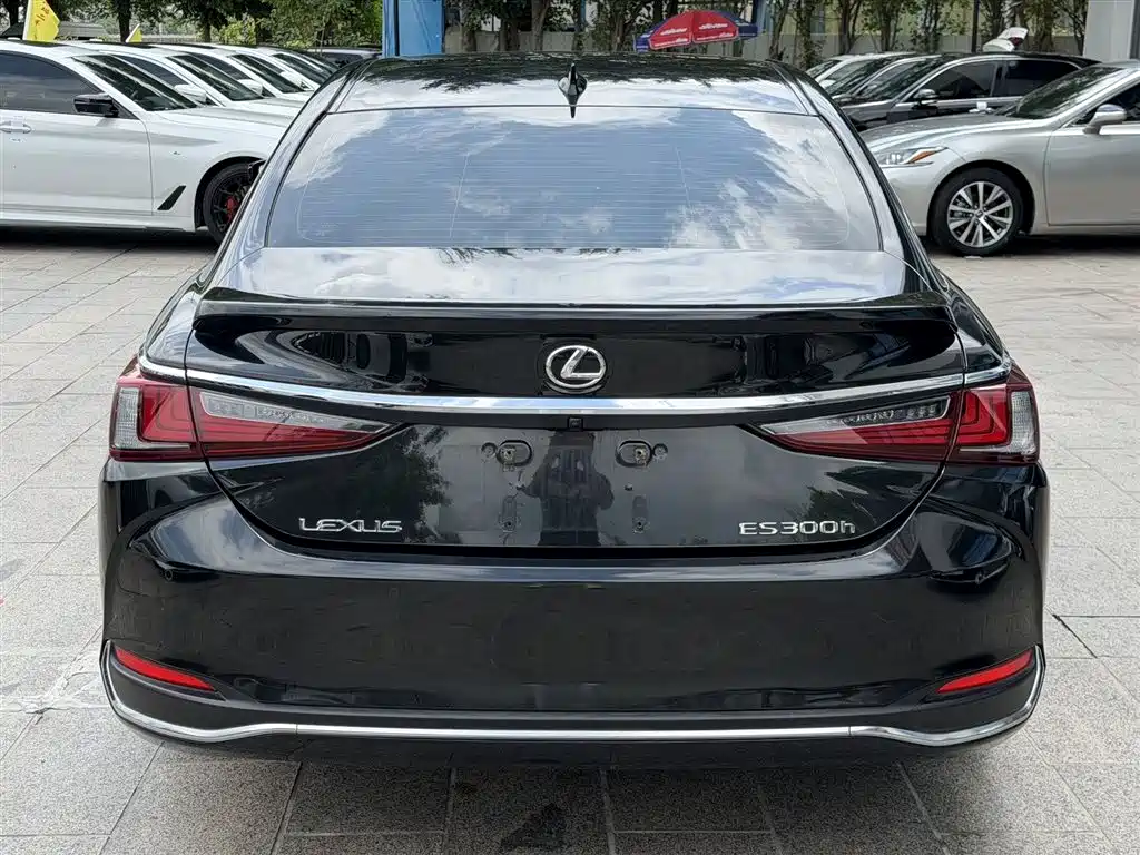 Lexus ES 2022 300h Excellence Edition фото 4
