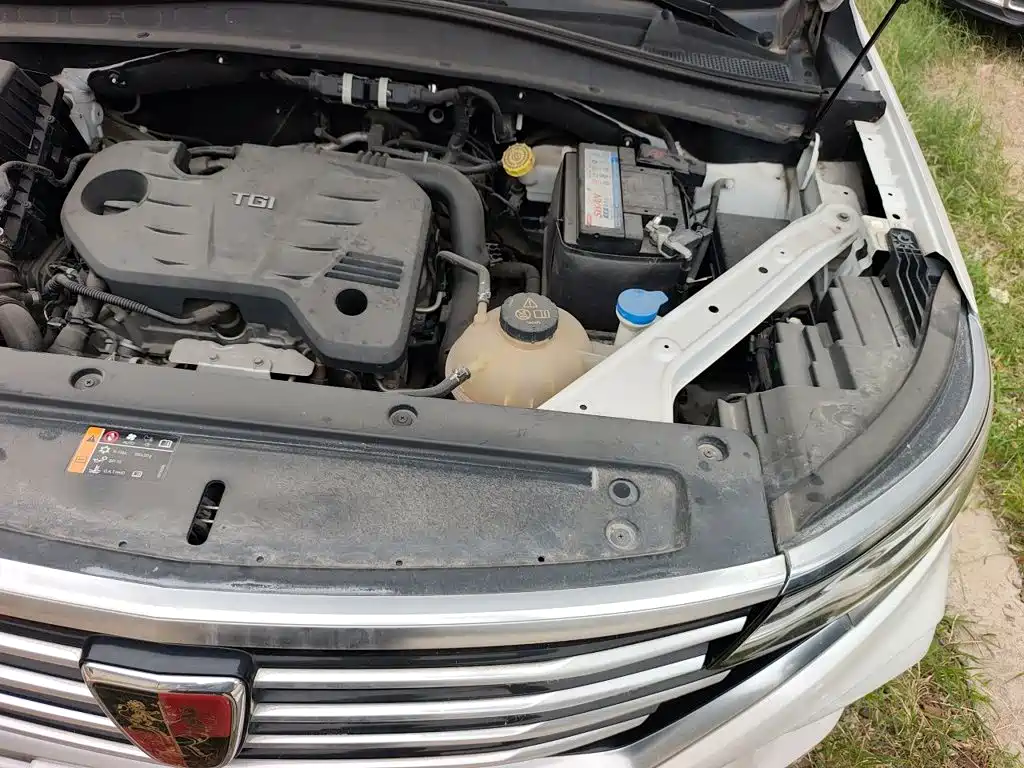 Roewe RX5 MAX 2019 2019 300TGI Automatic 4G Connected Luxury Edition
