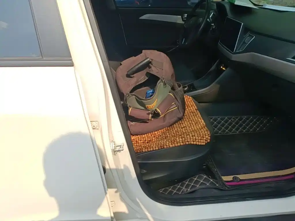 Nezha Auto Nezha N01 2020 2020 380v