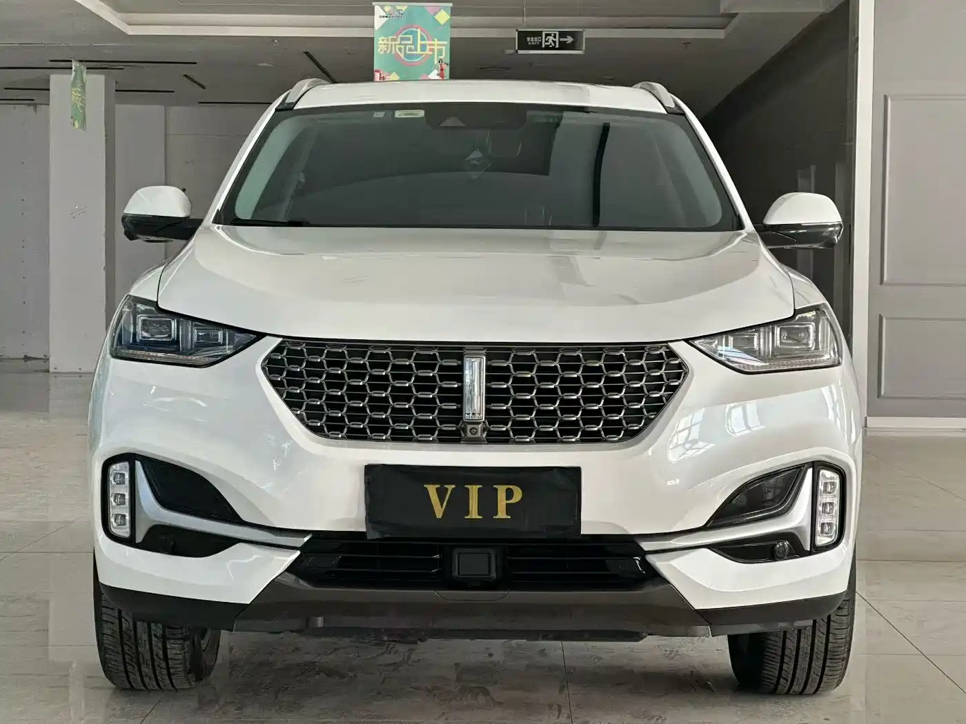 WEI PAI WEI BRAND VV6