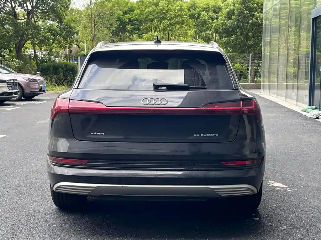 Audi e-tron (Import) 2019 2019 55 quattro Technology