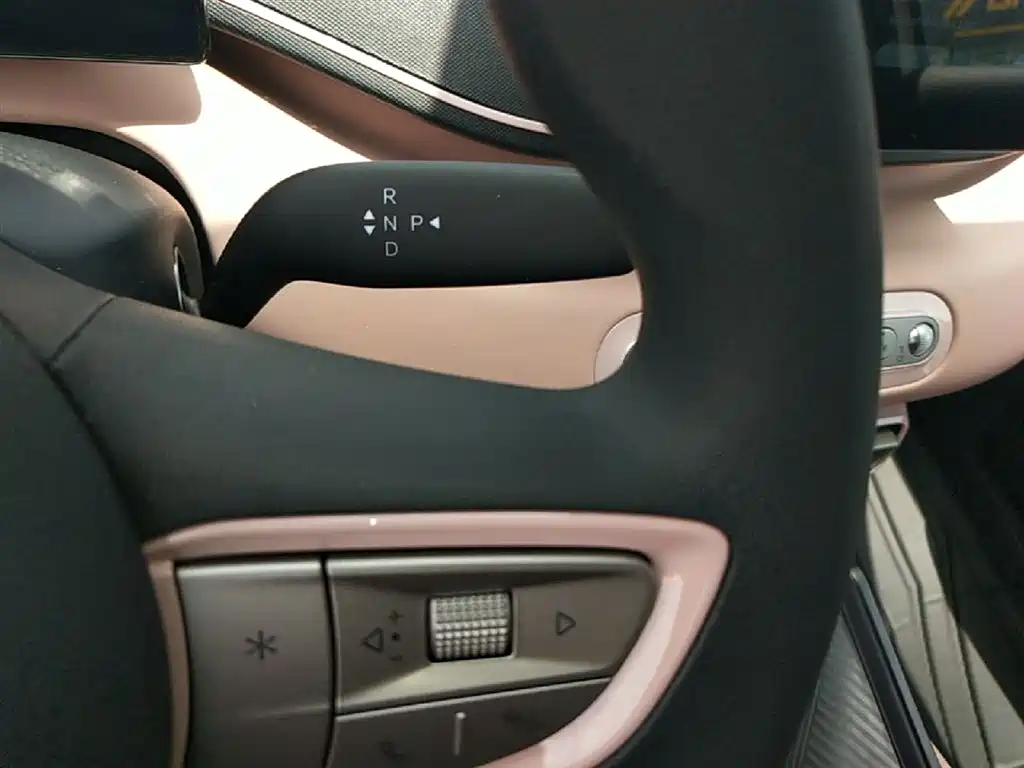 BYD Seagull 2025 Smart Drive Edition 305km Vitality Version фото 14
