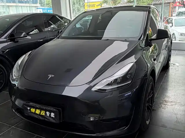 Tesla Model Y Задний привод