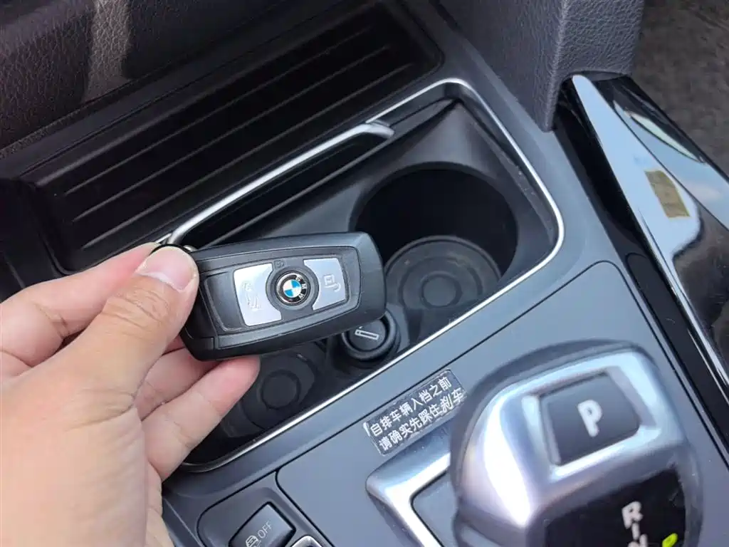 BMW 3 Series 2016 320Li Progressive фото 9
