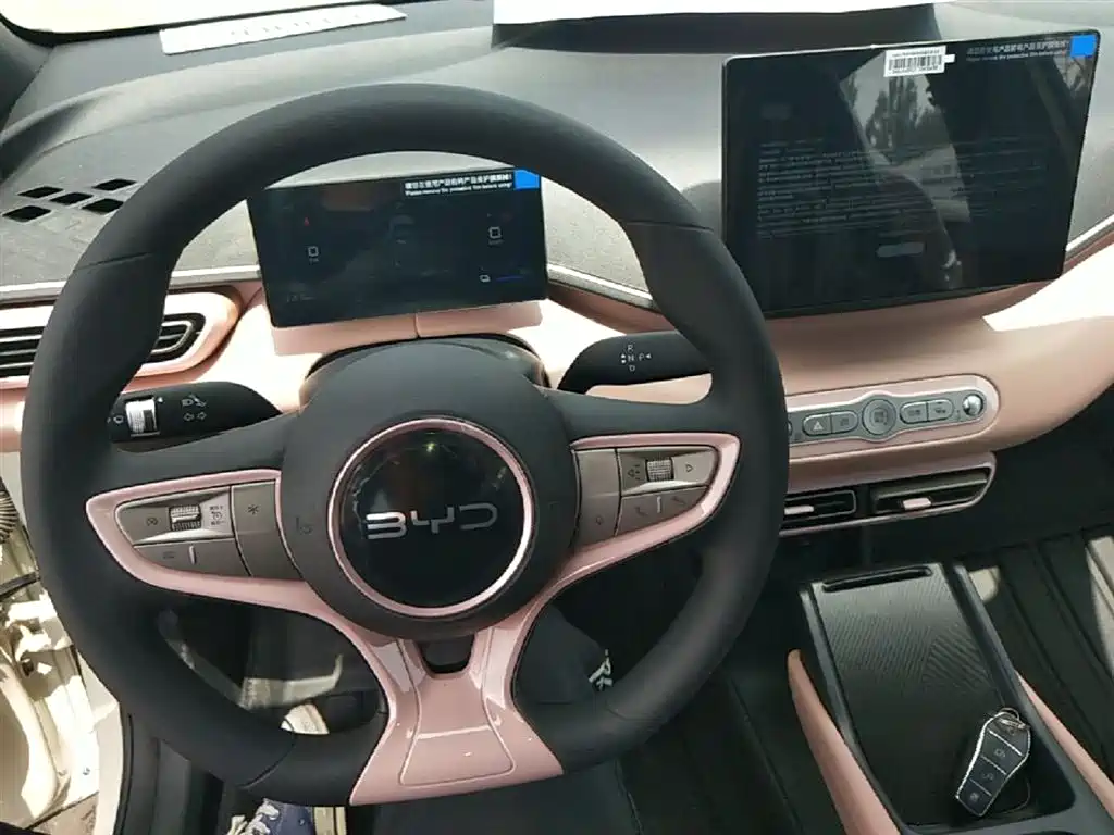 BYD Seagull 2025 Smart Drive Edition 305km Vitality Version фото 10