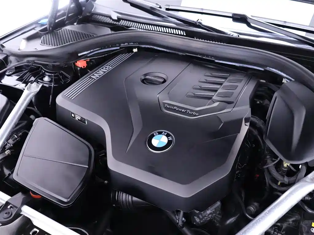 BMW 5 Series 2021 530Li Leading Luxury Package фото 26