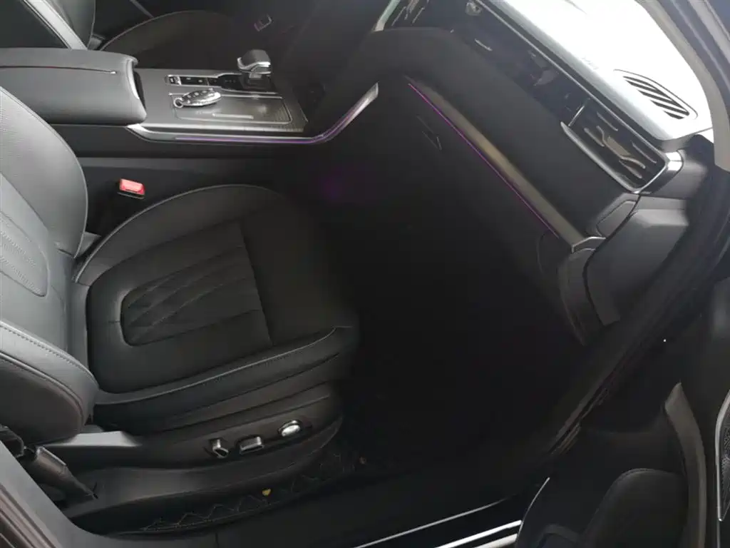 Hongqi HS7 PHEV 2024 2.0T PHEV 4WD Flagship Edition 6-seater фото 25