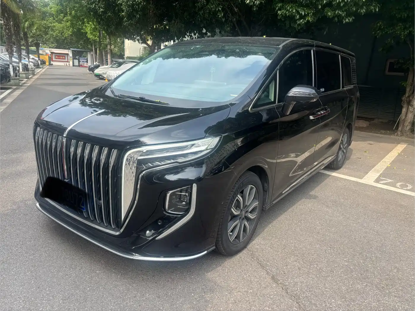 Hongqi HQ9 2023 2.0T Smart Connect Flagship