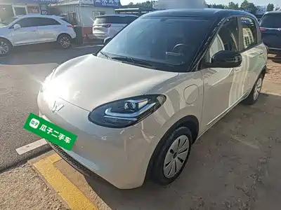 Wuling Bingo