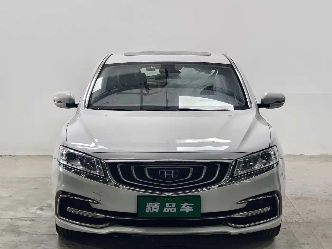 Фото 2 - Geely Borui