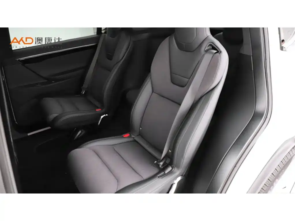 Tesla Model X 2017 2017 Model X 100D Long Range