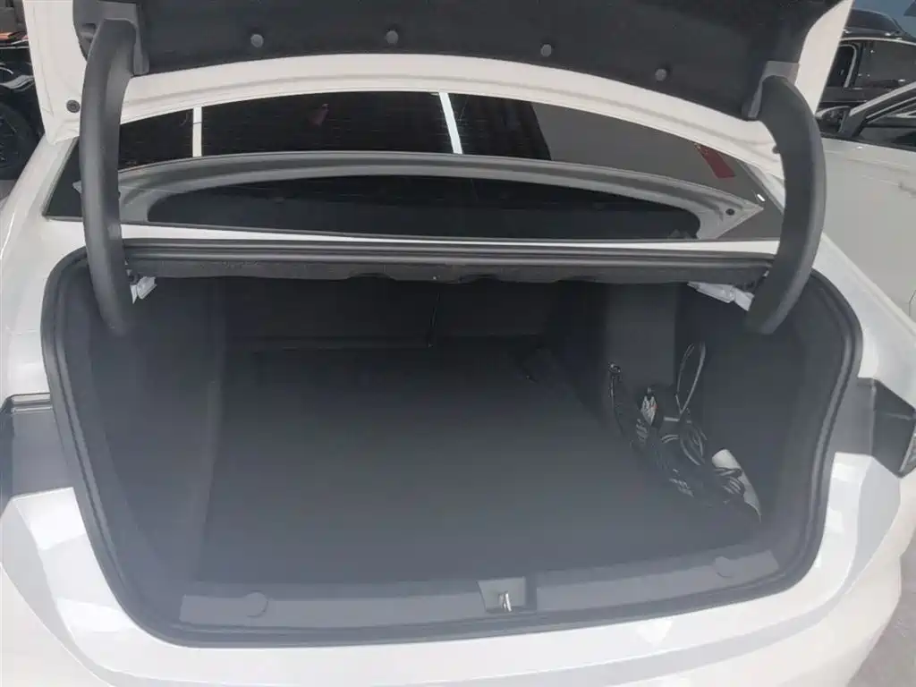 BYD Destroyer 05 2024 Glory Edition DM-i 55KM Luxury фото 19