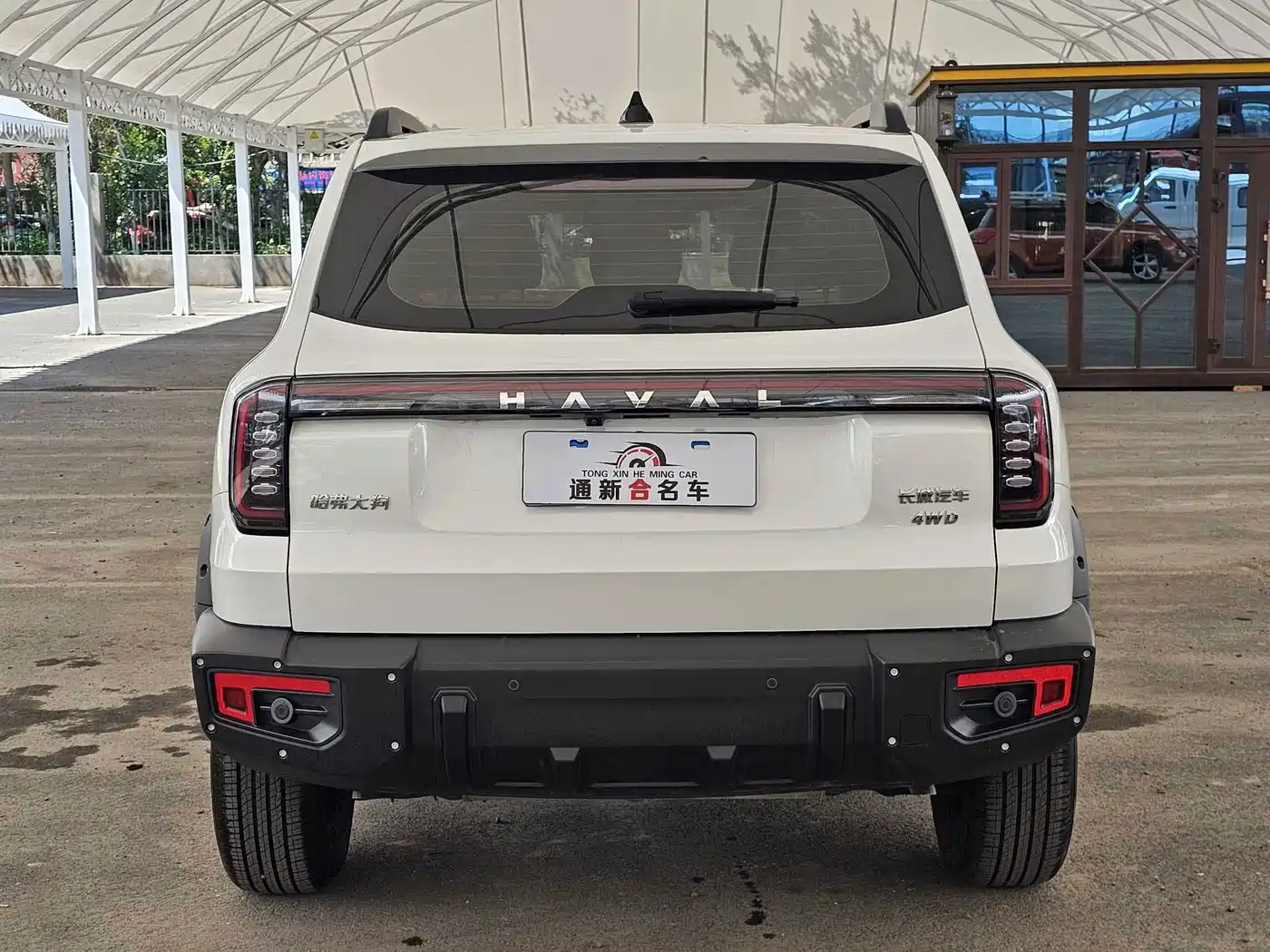 Haval Big Dog 2025 2024 2.0T DCT Chinese Rural Dog Edition