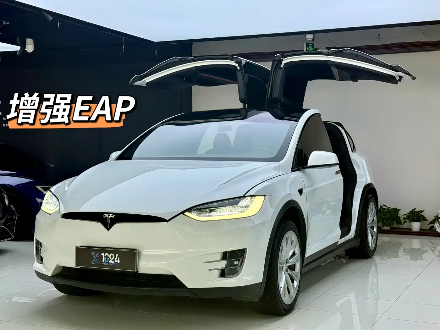 Tesla Model X 2020 Long Range Upgrade