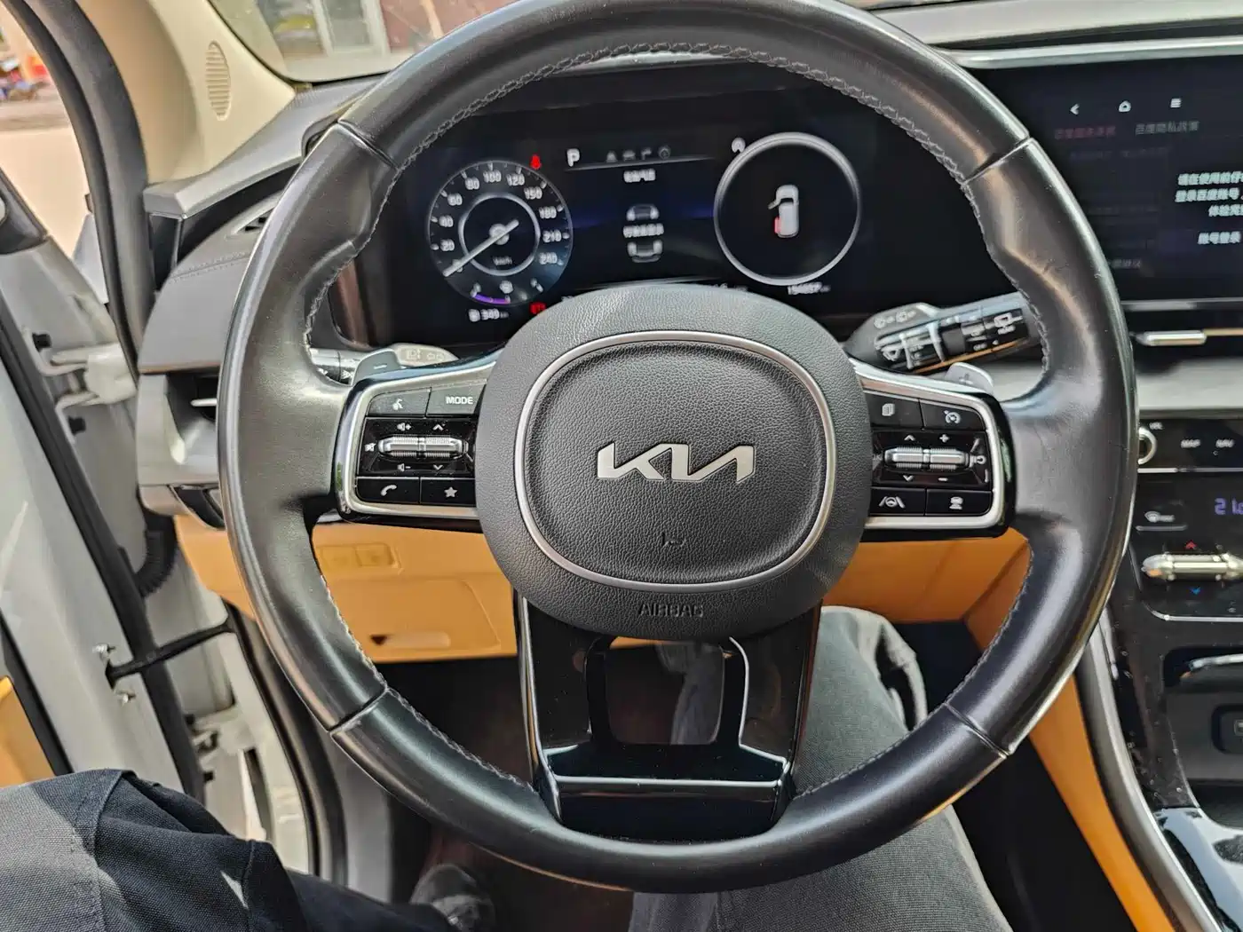 Kia Carnival 2021 2.0T Luxury Edition фото 5
