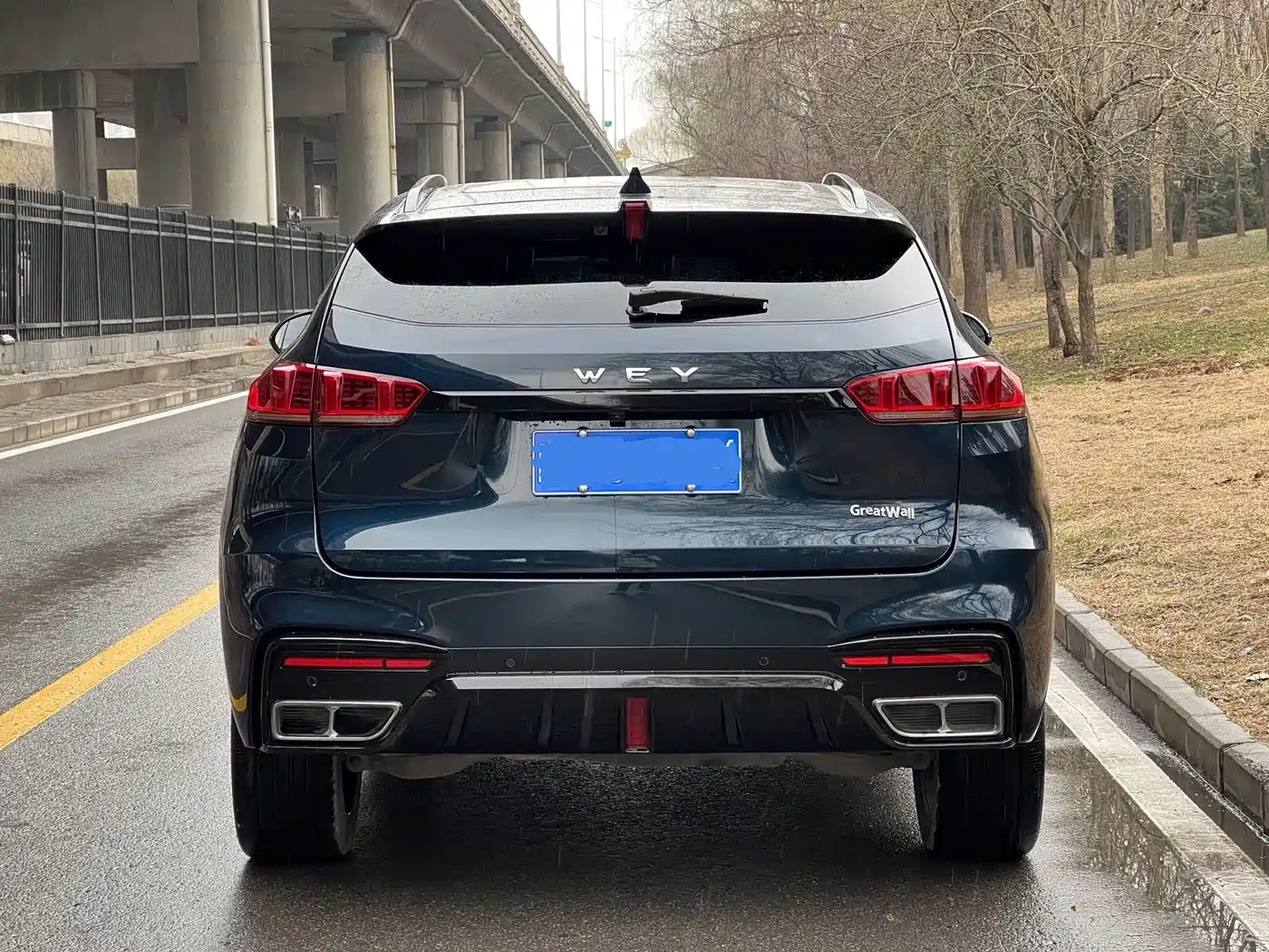 WEI PAI WEI BRAND VV7