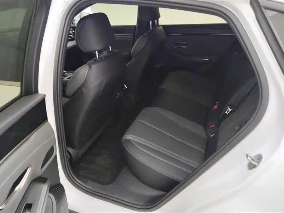 BYD Qin L 2024 DM-i 80KM Leading Edition фото 11
