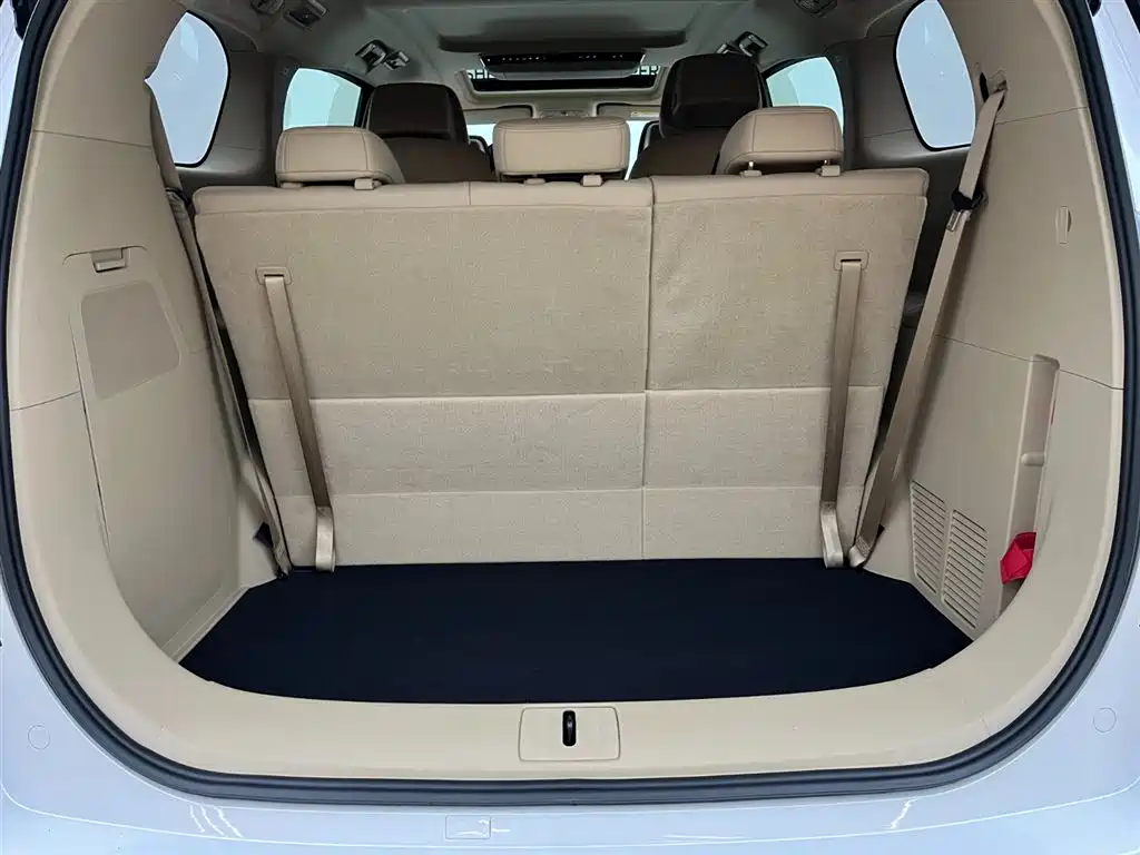 Buick GL8 New Energy 2025 Land Honor Premium Edition 7-Seater фото 12